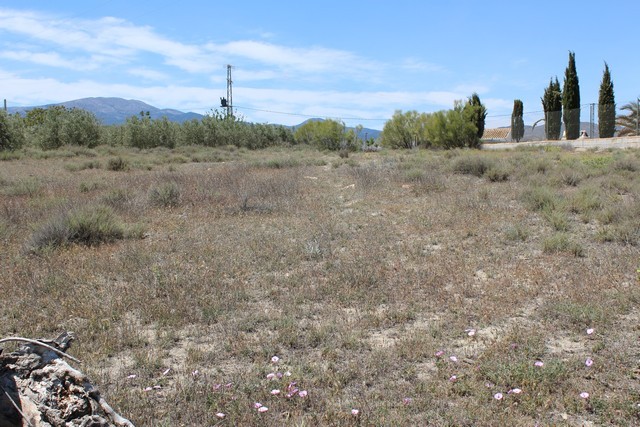 Remote land plot near Caniles with scenic mountain views in Granada, ideal for building a cave house.