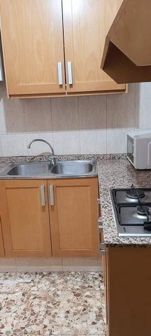 Cozy apartment in Zujar, Granada, featuring a compact kitchen with wooden cabinets and modern applia.