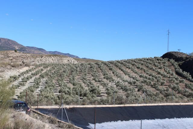 Land in Purchena, Almeria with scenic mountain views and agricultural potential.
