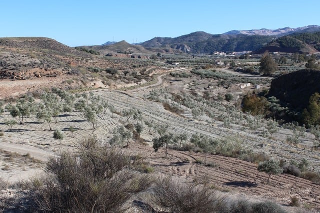 Land in Purchena, Almeria with scenic mountain views and terraced terrain. Perfect for building a ru.