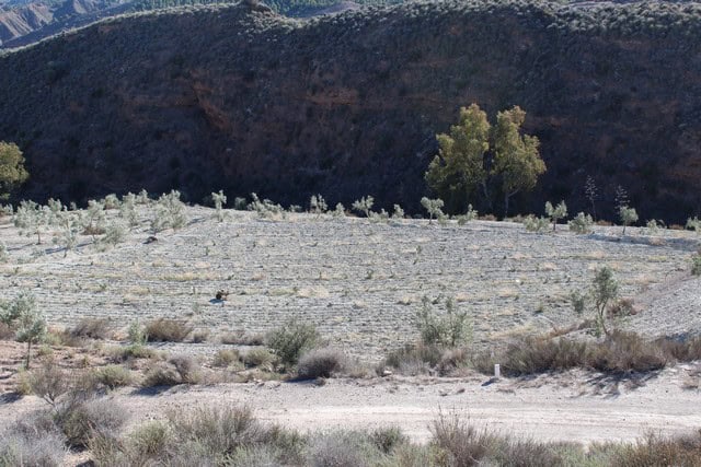 Land plot in Purchena, Almeria, ideal for building or investment. Spacious and sunny terrain with sc.