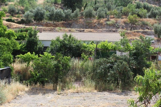 Rural property in Lucar, Almeria, surrounded by lush greenery and scenic landscape.
