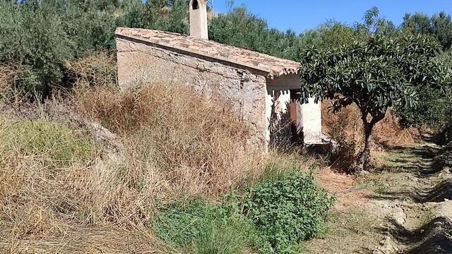 Rustic land plot with small building in Tijola, Almeria, ideal for development or farming.