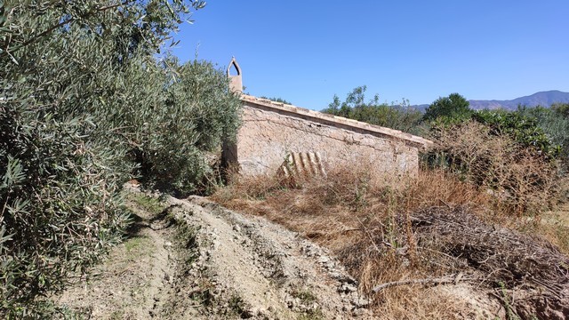 Land plot in Tijola, Almeria with scenic mountain views and natural surroundings.