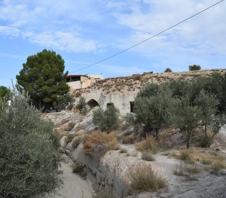 Cave house nestled in the hills of Benamaurel, Granada, surrounded by natural landscape and olive tr.