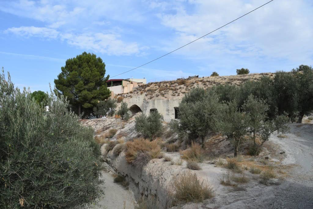 Cave house nestled in the hills of Benamaurel, Granada, surrounded by natural landscape and olive tr.