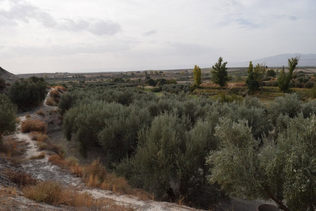 Cave house nestled in the scenic landscape of Benamaurel, Granada, surrounded by lush greenery and r.