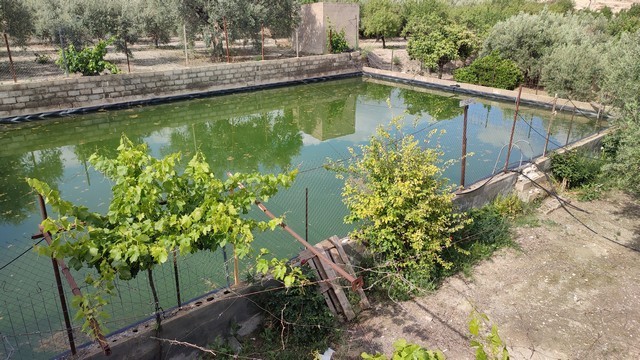 Beautiful rural property with a pond in Somontin, Almeria, ideal for nature lovers and peaceful livi.