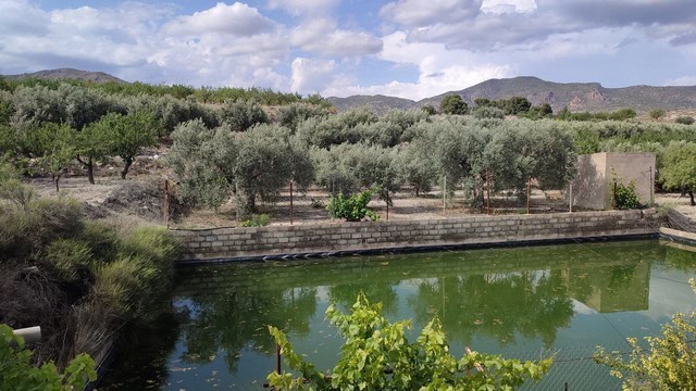 Beautiful rural property with olive groves and water feature in Somontin, Almeria.