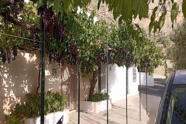 Beautiful rural property with lush greenery and grapevines in Rosales, Jaen. Perfect for countryside.