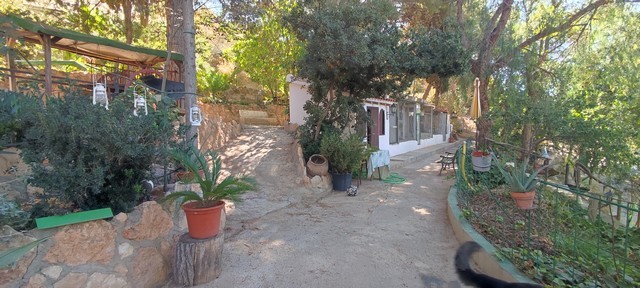 Cave house located in Caniles, Granada, surrounded by lush greenery and trees.