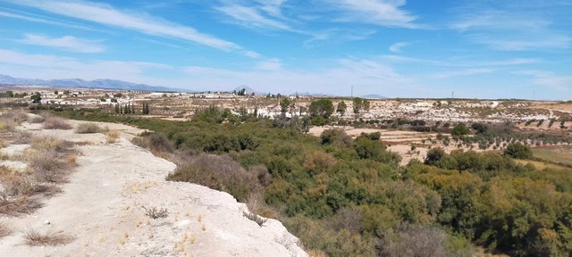 Cave house located in Benamaurel, Granada, surrounded by natural landscape and scenic views.