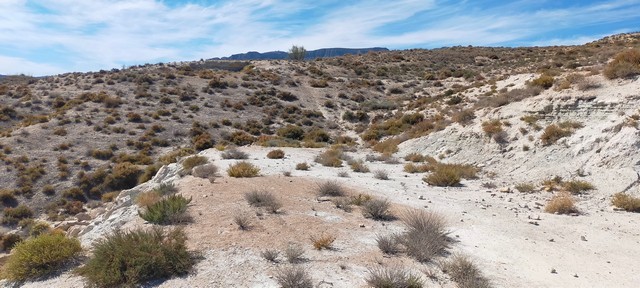 Desert landscape near Cave House in Benamaurel, Granada, Spain.