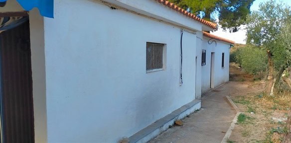 Traditional rural house in Seron, Almeria, with white walls and a tiled roof, surrounded by trees an.