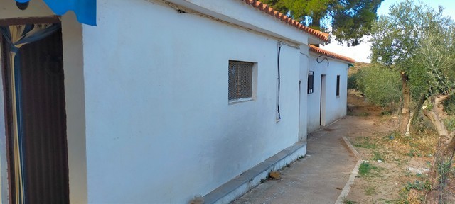 Traditional rural house in Seron, Almeria, with white walls and a tiled roof, surrounded by trees an.