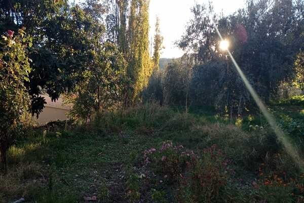 Beautiful rural land in Don Pedro, Jaen with lush greenery and scenic views. Perfect for countryside.