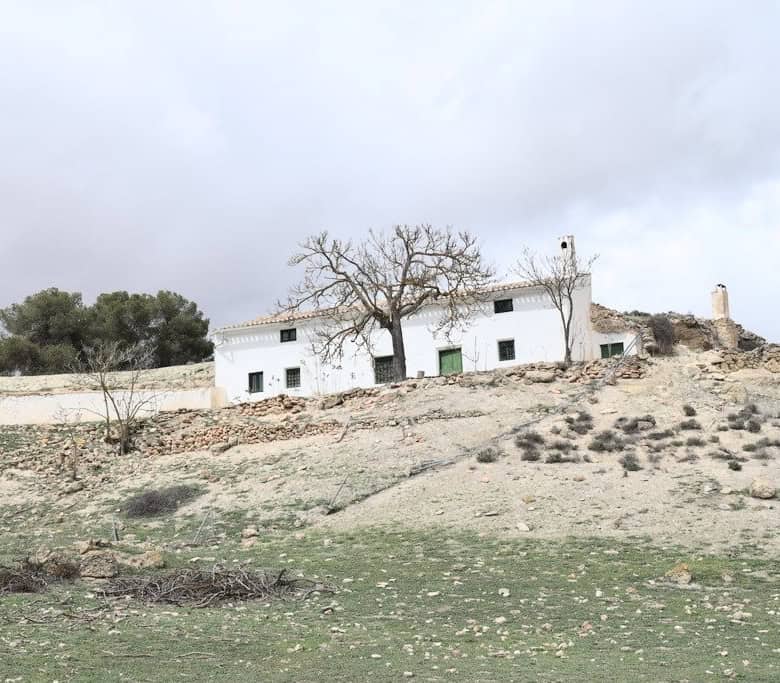 Country estate with white buildings and a large tree in Benamaurel, Granada, offering scenic rural v.