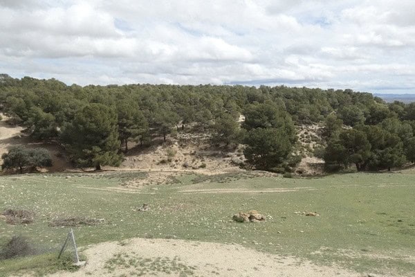 Country estate with lush greenery and trees in Benamaurel, Granada. Perfect for nature lovers and ru.