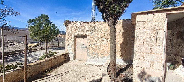 Rural property in Seron, Almeria with rustic walls and a tree, ideal for renovation or development p.
