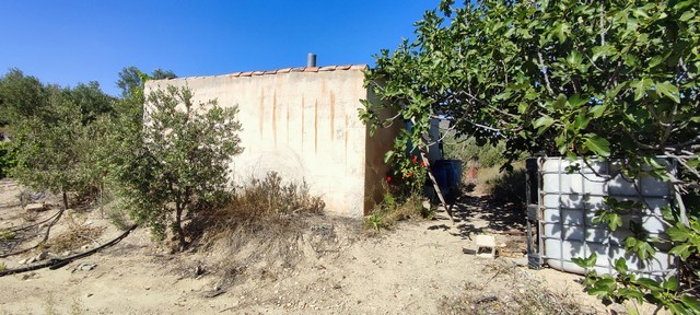 Rural property in Urracal, Almeria with land, trees, and simple structures. Ideal for countryside li.