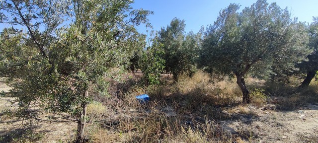 Rural property with olive trees in Urracal, Almeria, ideal for countryside living or farming.