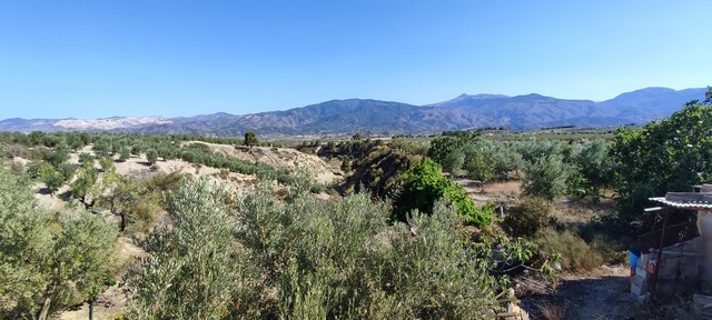 Scenic view of Urracal countryside with mountains in the background and lush greenery.