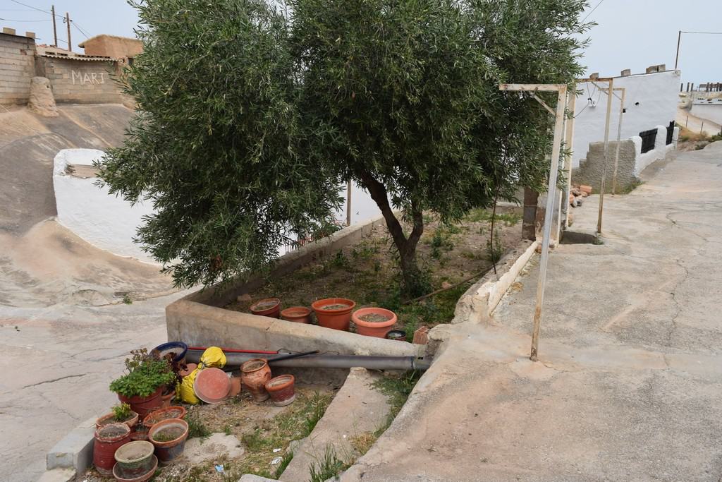 Cave house in Bacor, Granada with a large tree and potted plants, showcasing rustic charm and local.
