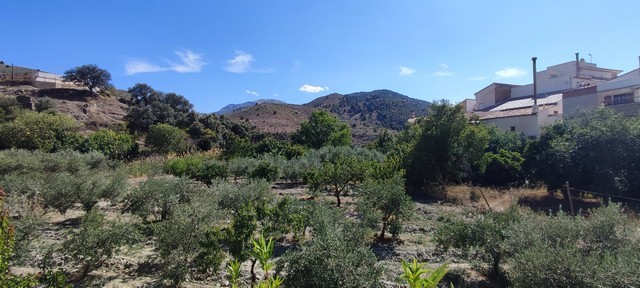 Village property in Bayarque, Almeria, surrounded by lush greenery and scenic mountains.