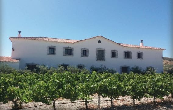 Commercial property for sale in Oria, Almeria, featuring scenic vineyard surroundings and spacious b.