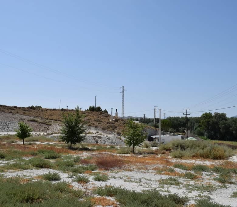 Cave house property for sale in El Margen, Granada, with scenic rural views and natural surroundings.