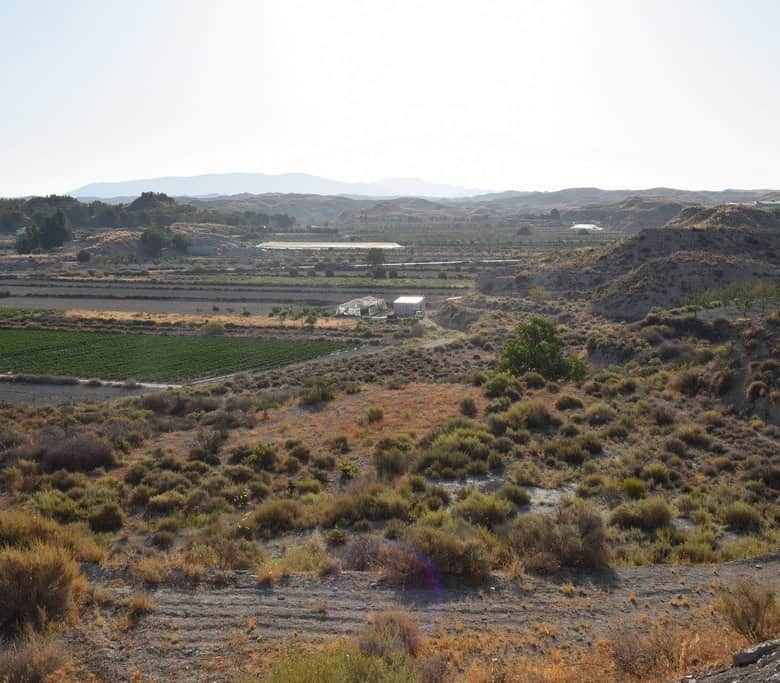 Cave house nestled in the hills of Benamaurel, Granada, with scenic views and natural surroundings.