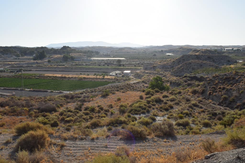 Cave house nestled in the hills of Benamaurel, Granada, with scenic views and natural surroundings.