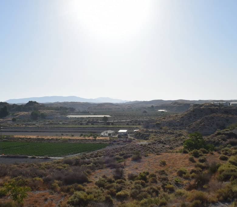 Cave house nestled in the hills of Benamaurel, Granada, with scenic views and natural surroundings.