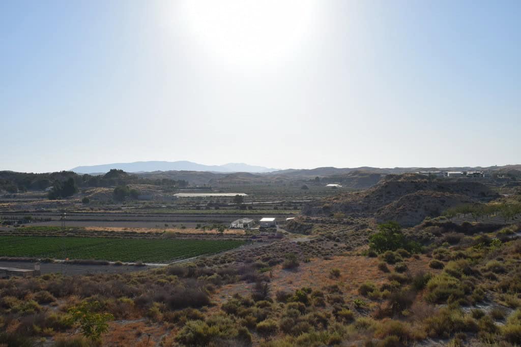 Cave house nestled in the hills of Benamaurel, Granada, with scenic views and natural surroundings.