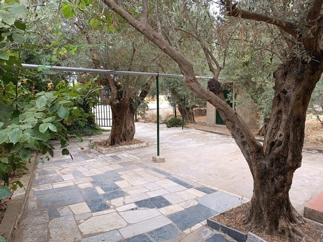 Beautiful rural property with mature trees and outdoor space in Baza, Granada.
