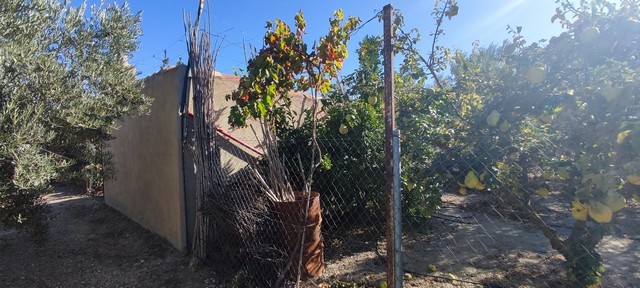 Beautiful land plot in Cela, Almeria, ideal for building or farming. Surrounded by nature with sceni.