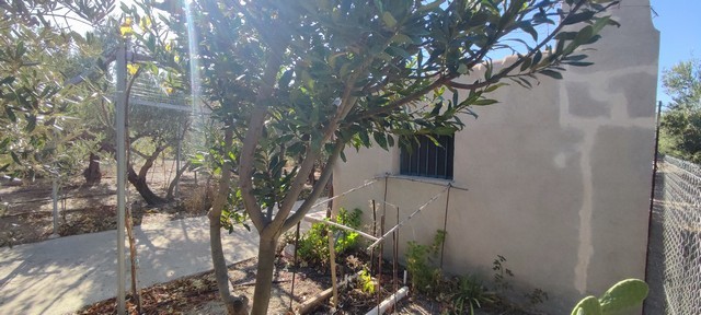 Land plot in Cela, Almeria ideal for building or farming purposes. Peaceful rural location with natu.