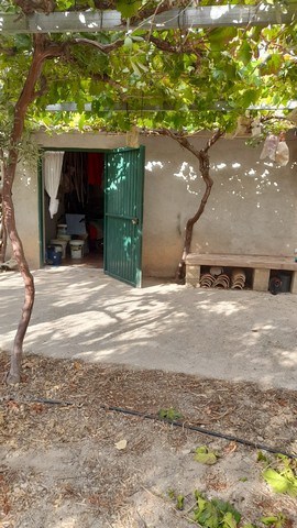 Beautiful land in Cela, Almeria with mature trees and outdoor space. Perfect for building your dream.