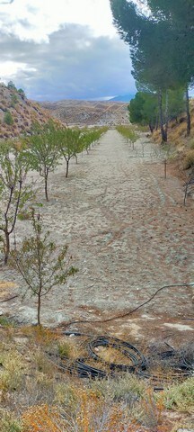 Scenic land plot in Benamaurel, Granada, ideal for development or agriculture. Surrounded by natural.