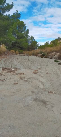 Land for sale in Benamaurel, Granada with scenic natural surroundings and mature trees. Perfect for.