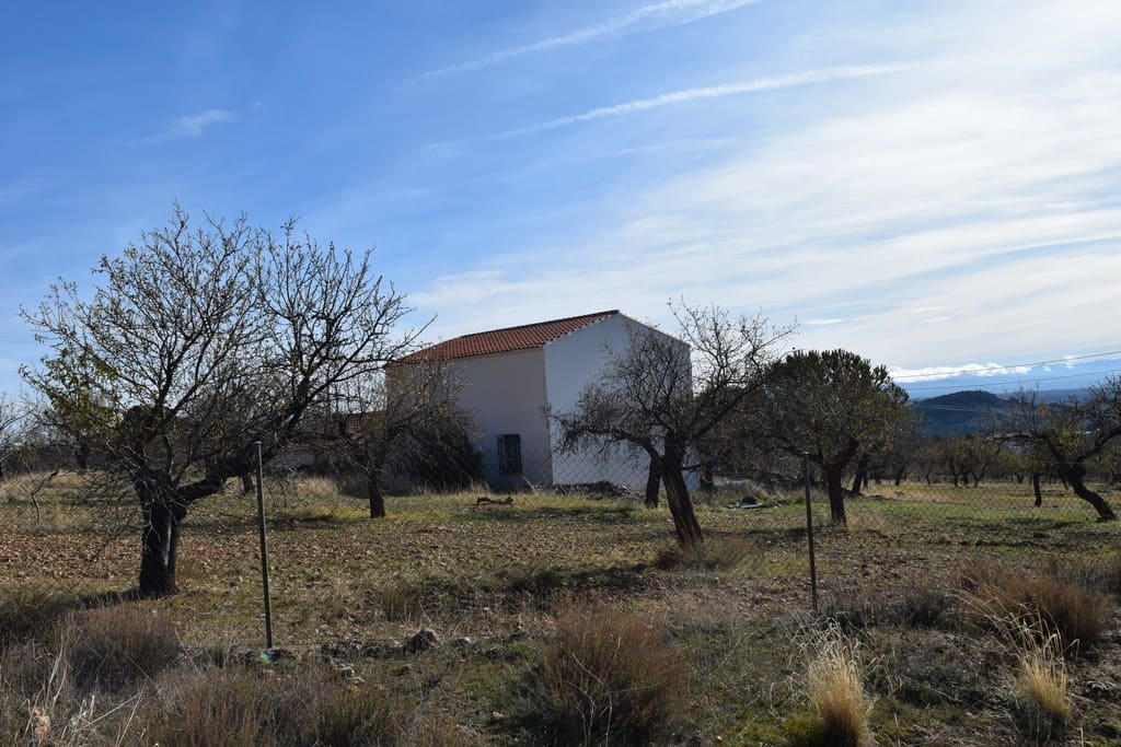 Rural property with orchard and trees in Castril, Granada, ideal for countryside living and farming.