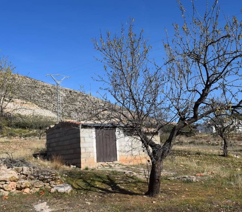 Rural property with orchard and trees in Castril, Granada, Spain. Ideal for countryside living and a.