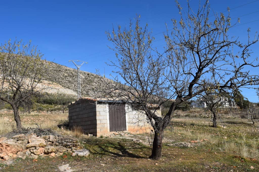 Rural property with orchard and trees in Castril, Granada, Spain. Ideal for countryside living and a.