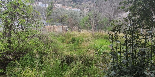Beautiful rural property in Don Pedro, Jaen, surrounded by lush greenery and natural landscape.