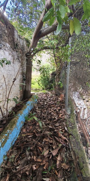 Charming rural property with lush greenery and natural surroundings in Don Pedro, Jaen.