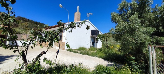 Beautiful rural property in Macael with traditional white house and surrounding greenery, ideal for.