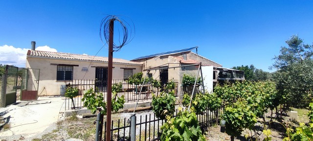 Charming rural property with vineyard views in Hijate, Almeria. Perfect for countryside living and i.