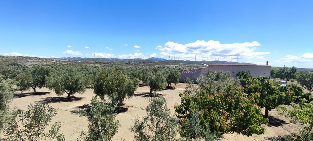 Rural property with orange trees in Hijate, Almeria, Spain, offering scenic countryside views and po.