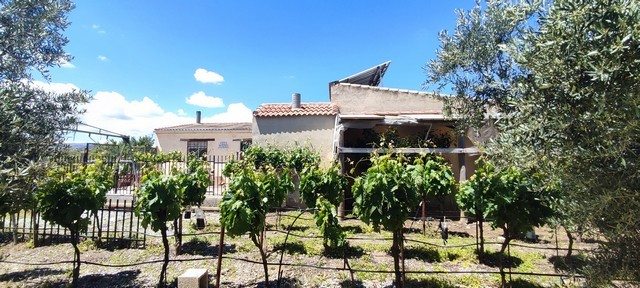 Beautiful rural property with lush vineyards in Hijate, Almeria, ideal for countryside living and ag.