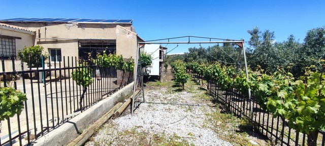 Traditional rural property with vineyard in Hijate, Almeria, offering authentic countryside living.